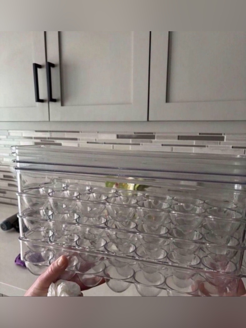 4 EGG STORAGE CONTAINERS WITH LIDS